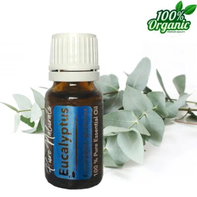 Een flesje etherische olie waarop staat 'eucalyptus 100% pure essential oil'. 100% organic. Pure Naturals.